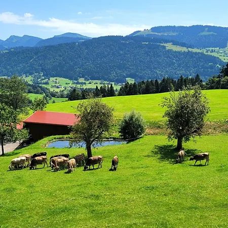 Seywald Oberreute