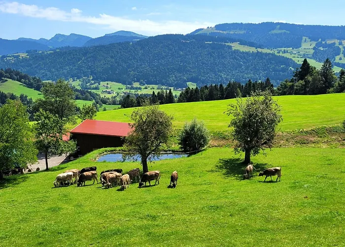 Seywald Oberreute